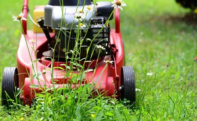 an image of a lawn mower on grass