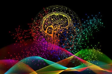 Image of a brain 