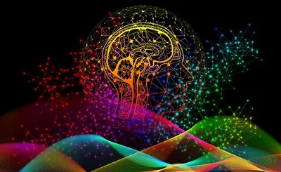 Image of a brain 
