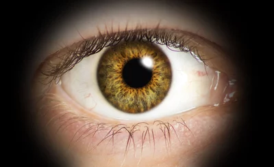 Eye looking through keyhole © forkART – Fotolia.com