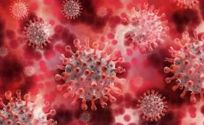 an image of blood cells