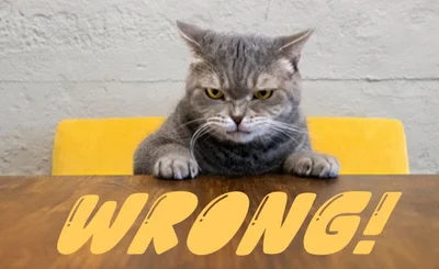 Gray cat with attitude showing paws on wooden table with yellow chair behind and in foreground the word wrong! in yellow