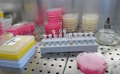 laboratory 