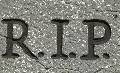 rip-786x305