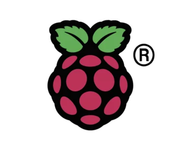 raspberry pi logo 