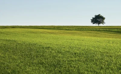 field