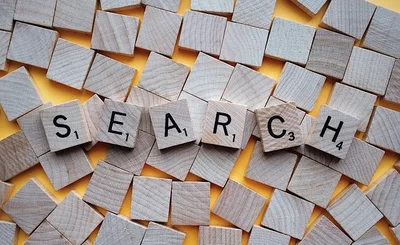 search 